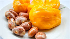 Ăn hạt mít có tốt không?